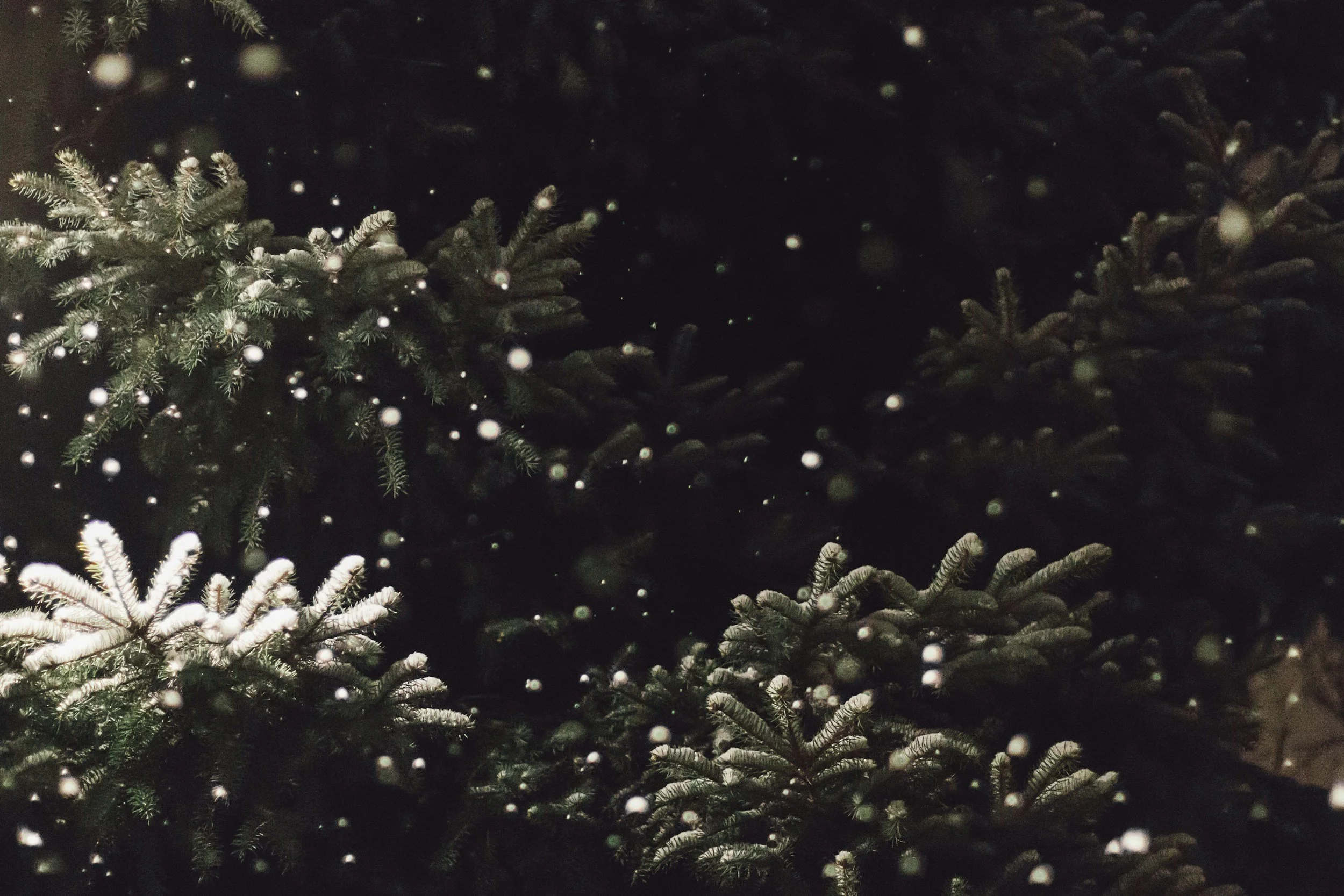Holiday background